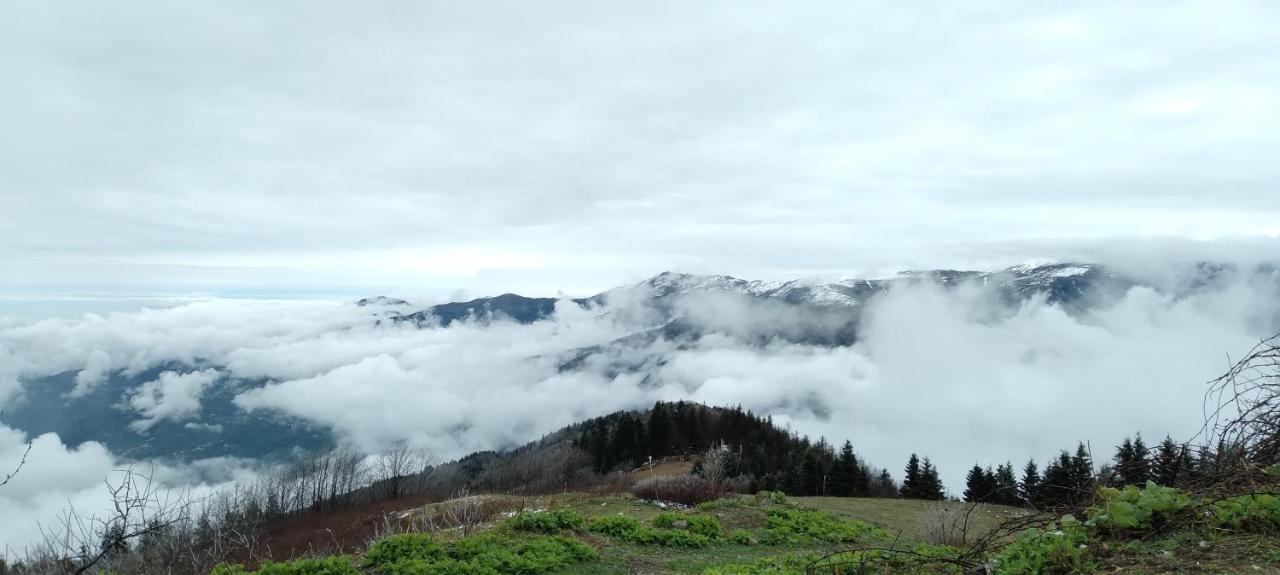 Erdem Apart Otel Trabzon Luaran gambar